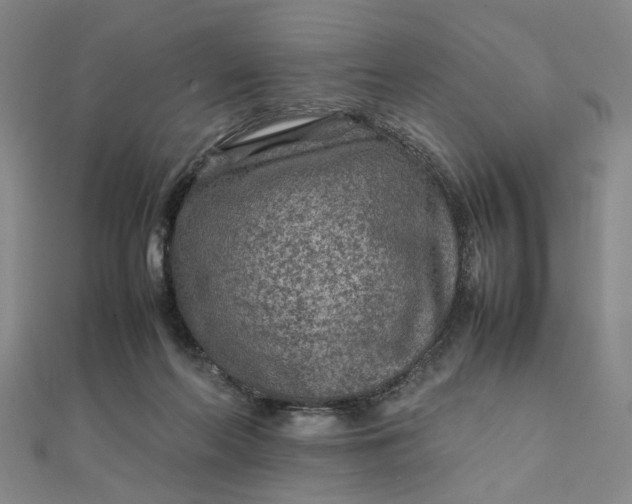 X0000111900214200908101147