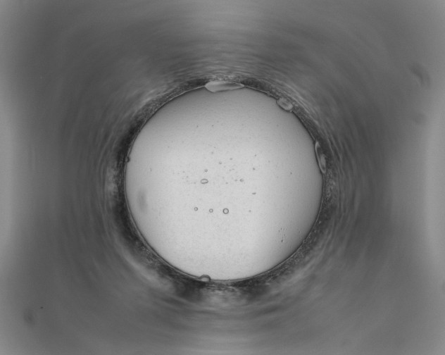 X0000111900215200908101147