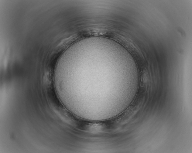 X0000111900218200908101147