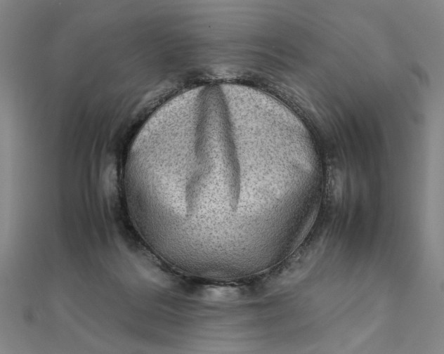 X0000111900220200908101147