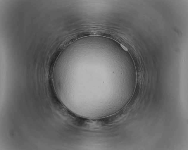 X0000111900221200908101146