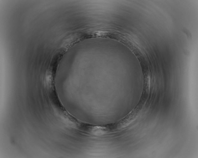 X0000111900222200908101146