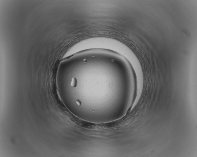 X0000111900223200908101146