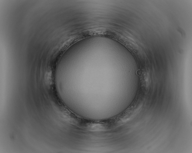 X0000111900224200908101146