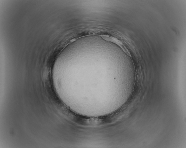 X0000111900225200908101146