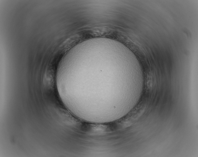 X0000111900226200908101146