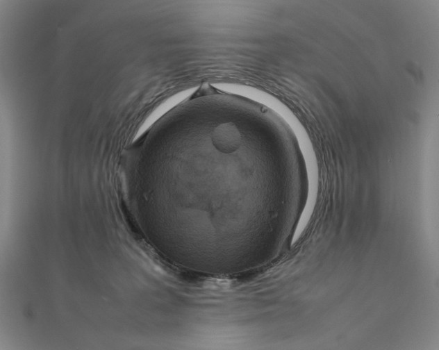 X0000111900227200908101146