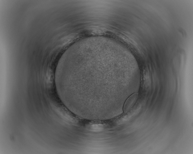 X0000111900228200908101146