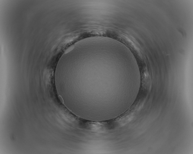 X0000111900229200908101146