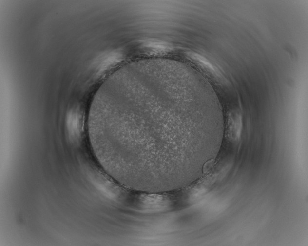 X0000111900230200908101146