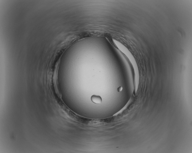 X0000111900231200908101146