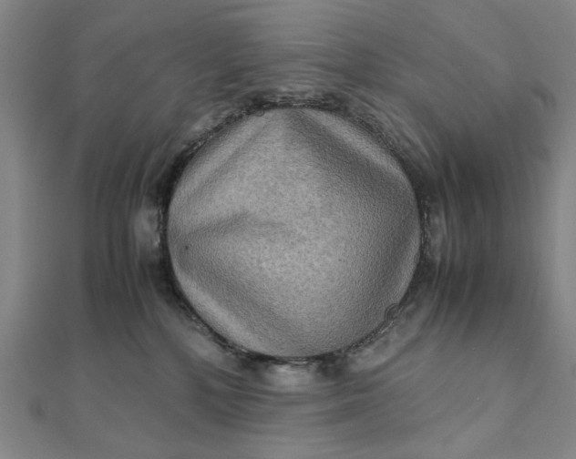 X0000111900232200908101146