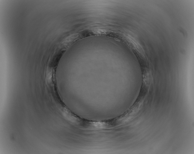 X0000111900233200908101146