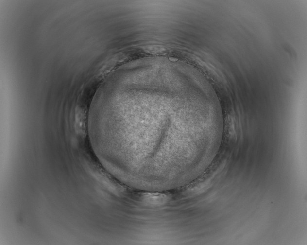 X0000111900234200908101146