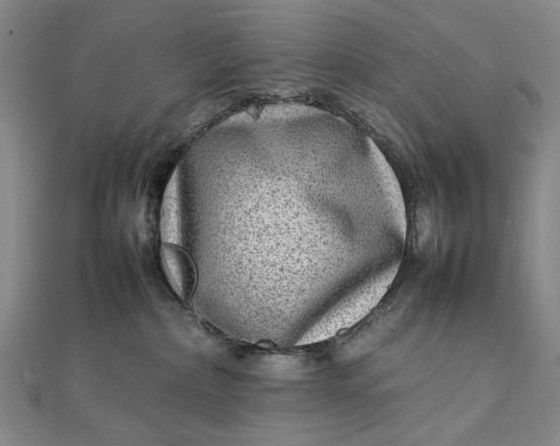 X0000111900236200908101146