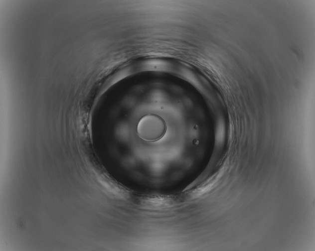 X0000111900237200908101146