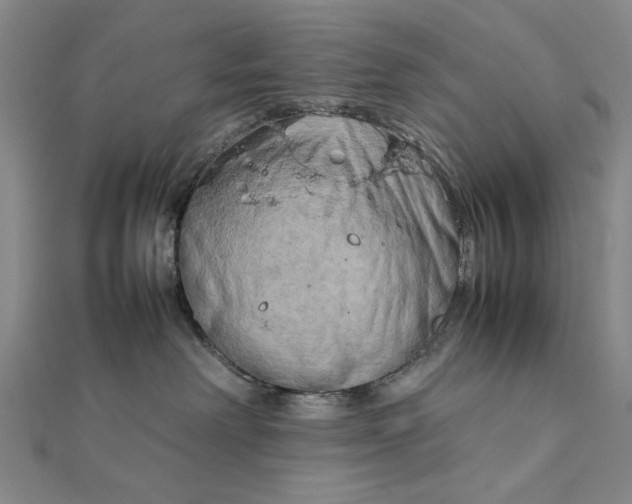 X0000111900238200908101146