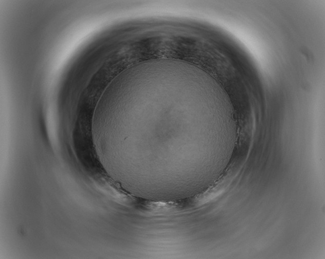 X0000111900239200908101146