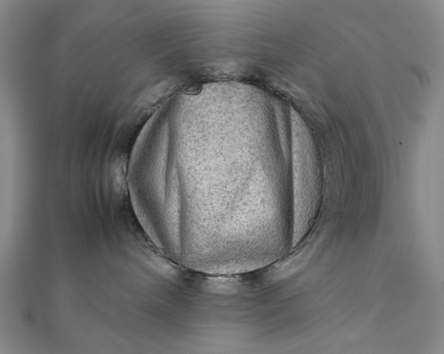 X0000111900240200908101146