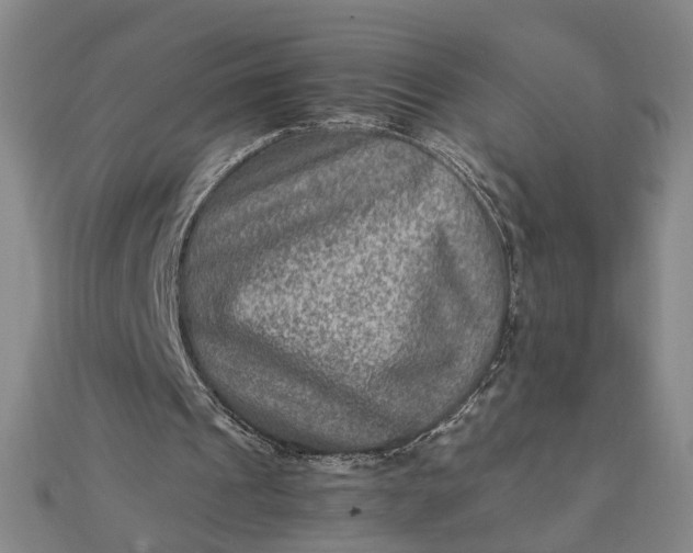 X0000111900241200908101146