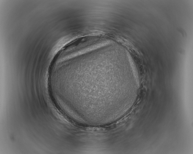 X0000111900242200908101146