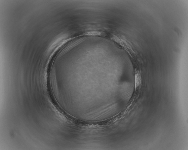 X0000111900243200908101146