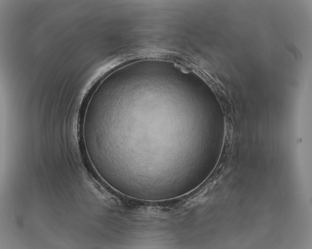 X0000111900244200908101146