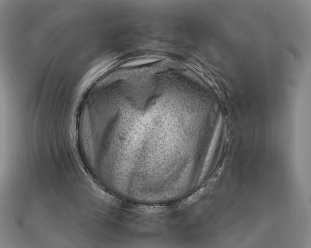 X0000111900245200908101146