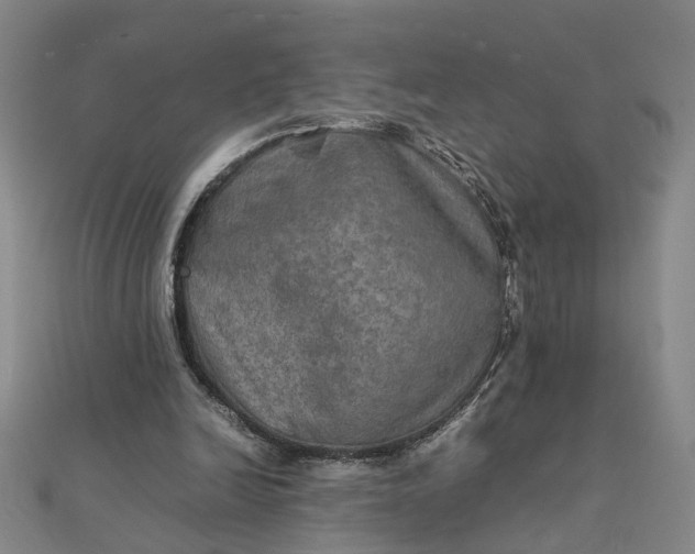 X0000111900246200908101146