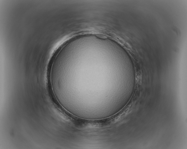 X0000111900248200908101146