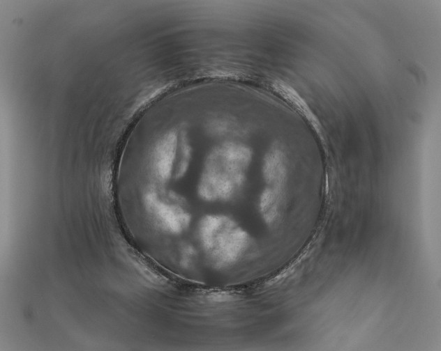 X0000111900249200908101146