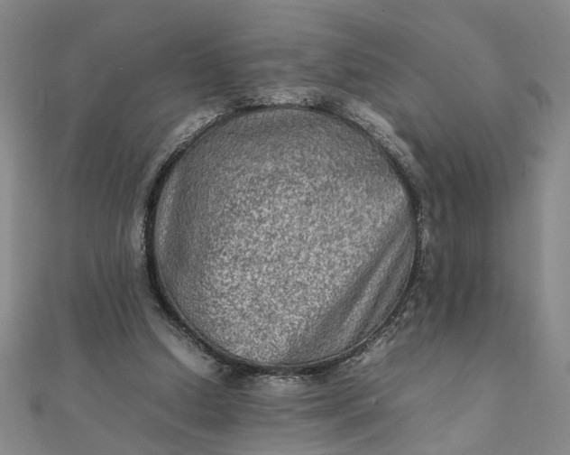 X0000111900250200908101146