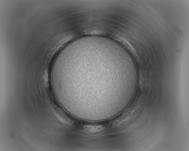 X0000111900251200908101146