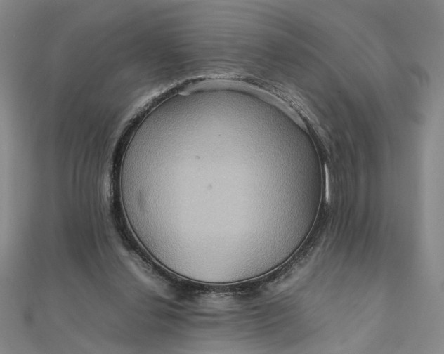 X0000111900252200908101146