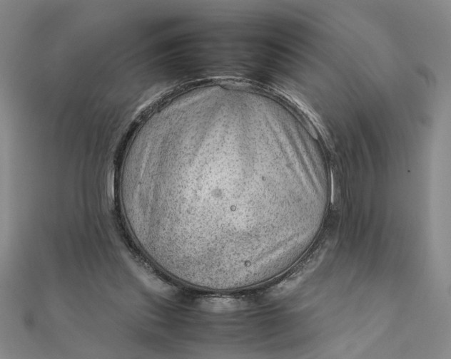 X0000111900253200908101146