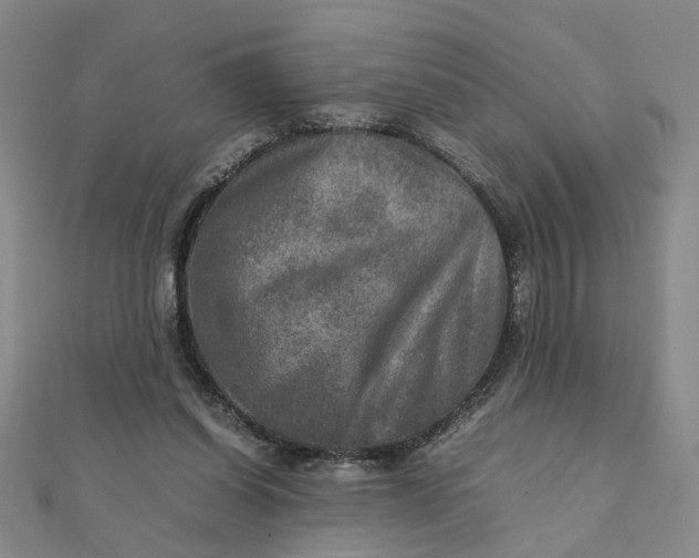 X0000111900254200908101146