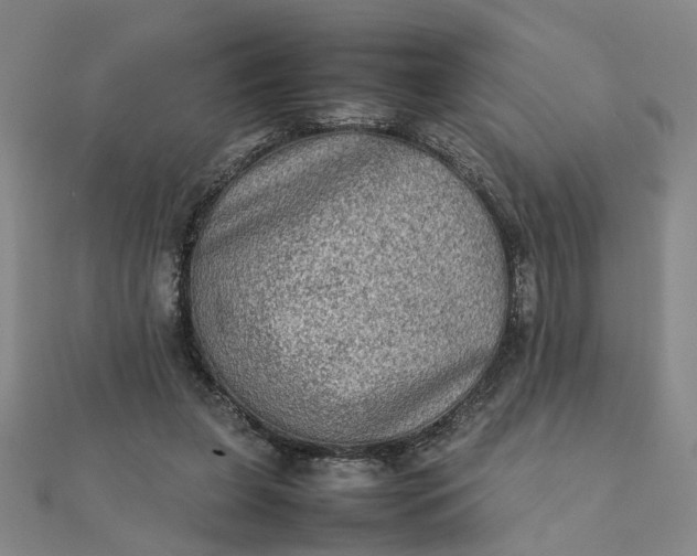 X0000111900255200908101146