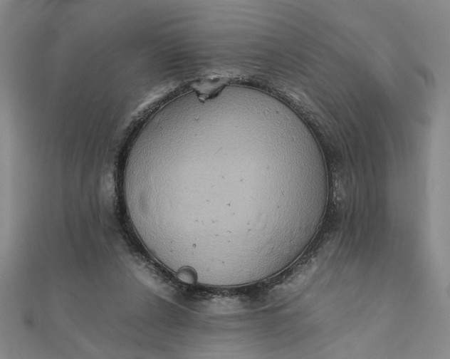 X0000111900256200908101146