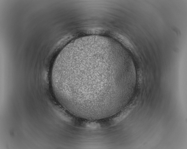 X0000111900258200908101146