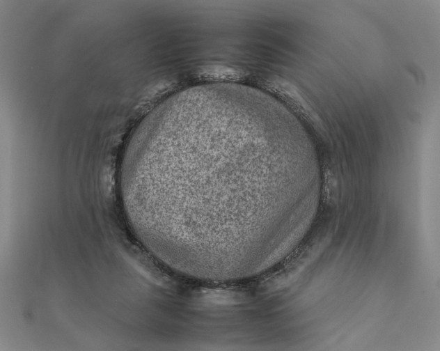 X0000111900259200908101146