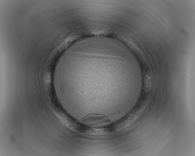 X0000111900260200908101146