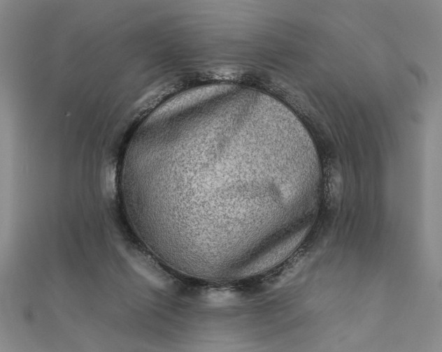 X0000111900262200908101146