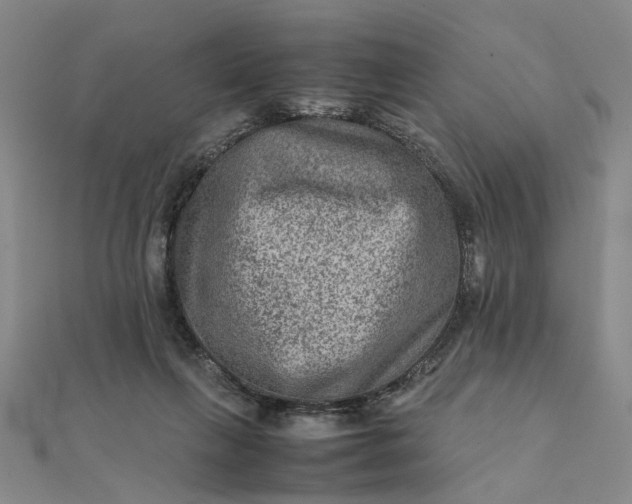 X0000111900263200908101146