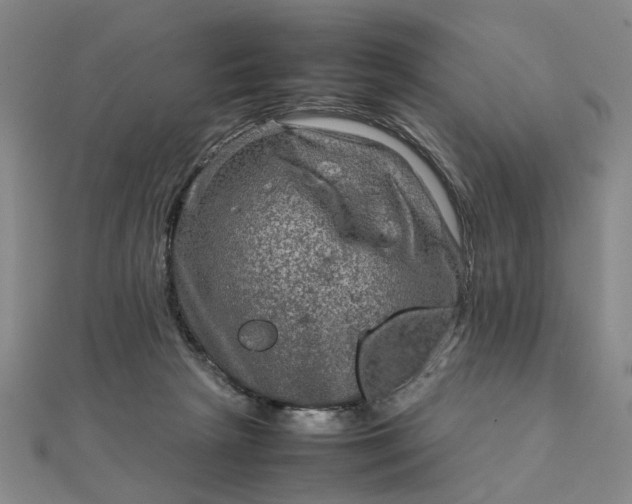 X0000111900265200908101146