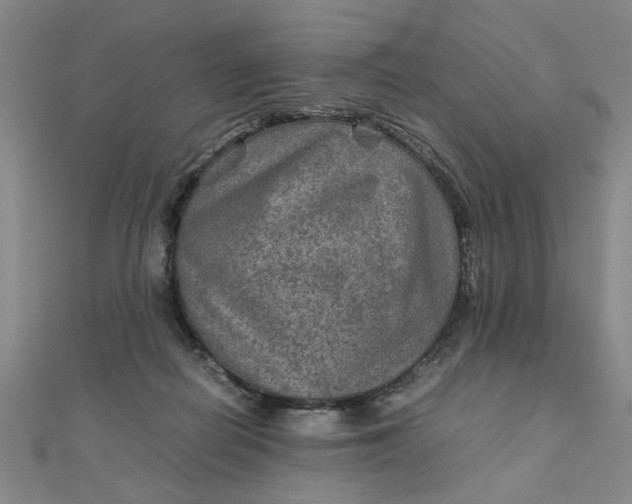 X0000111900266200908101146