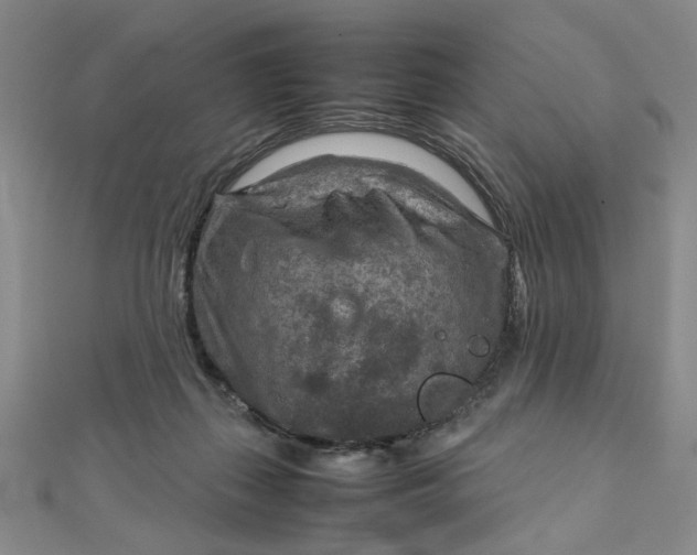 X0000111900267200908101146