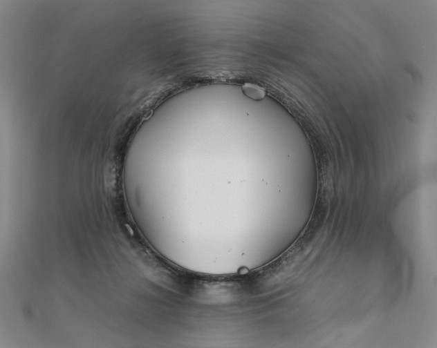 X0000111900268200908101146