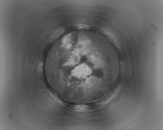 X0000111900269200908101146