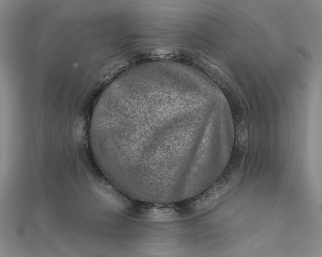 X0000111900270200908101146