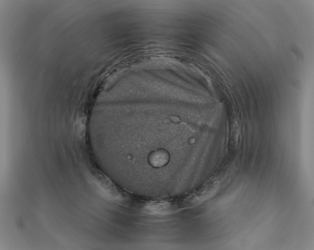 X0000111900271200908101146